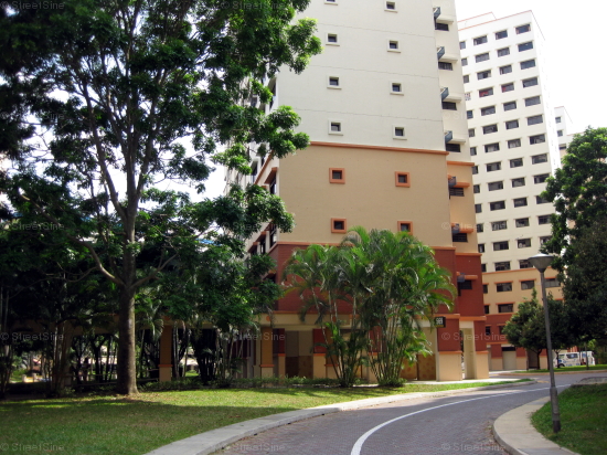 Blk 569 Hougang Street 51 (Hougang), HDB 5 Rooms #246252